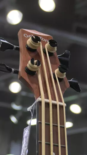 Gold Tone - MICRO BASS 2